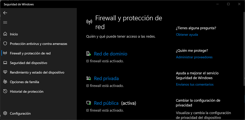 captura de pantalla seguridad de windows