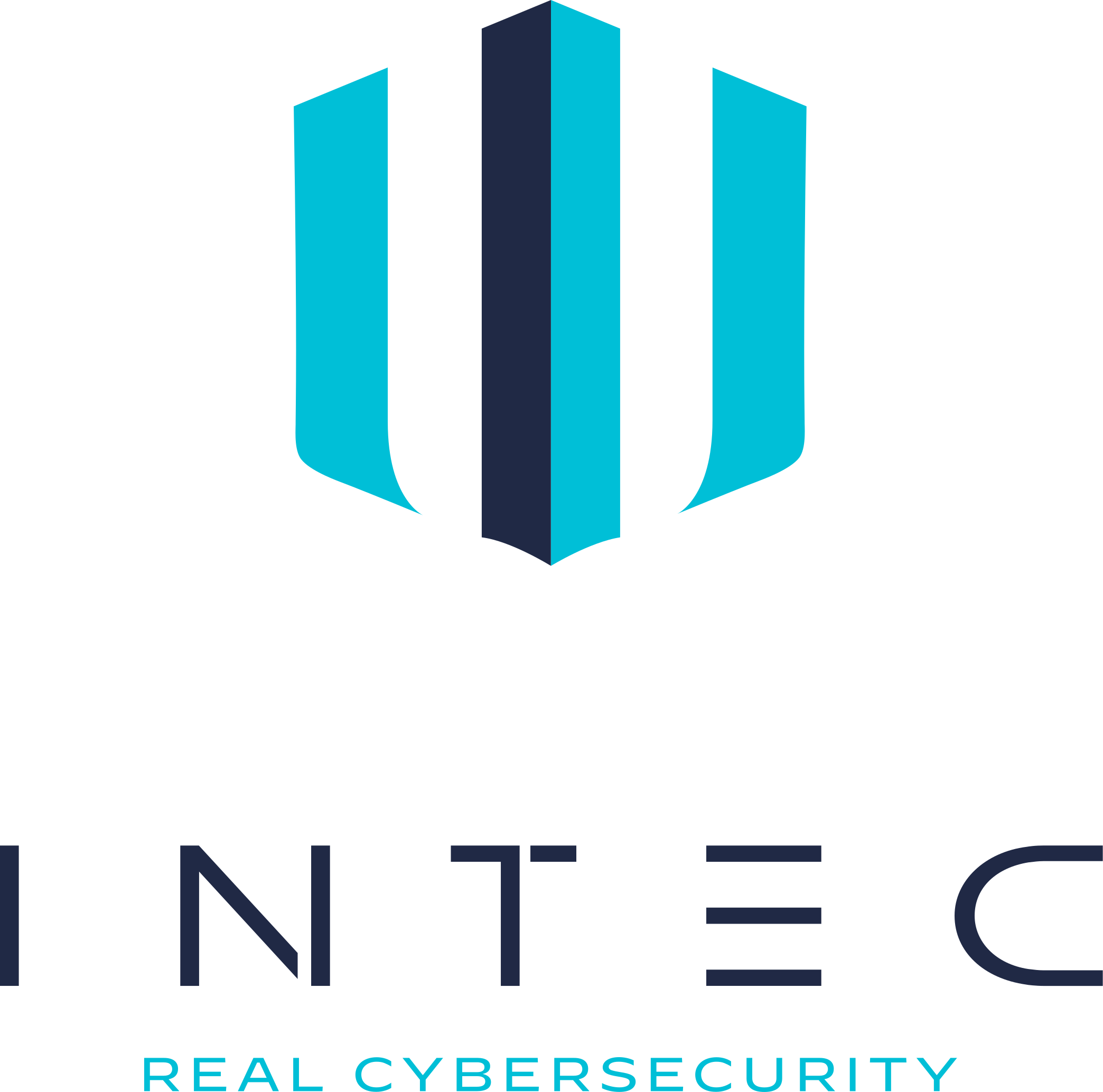 Logotype of INTEC