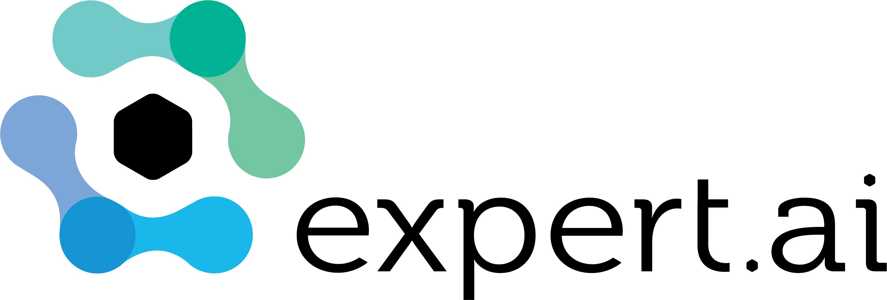 Logotype of EXPERT SYSTEM IBERIA, S.L