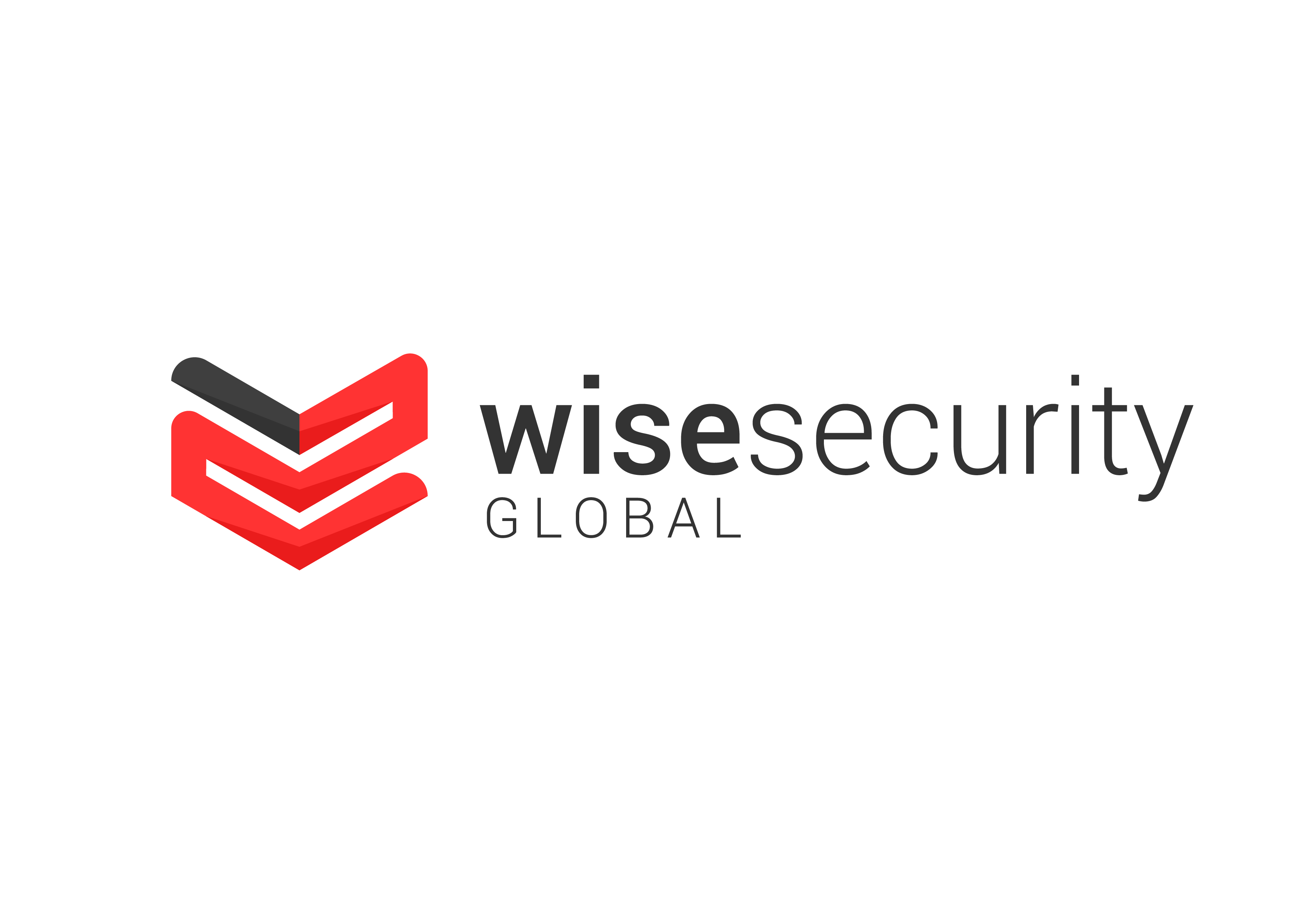 Logo de WISE SECURITY GLOBAL