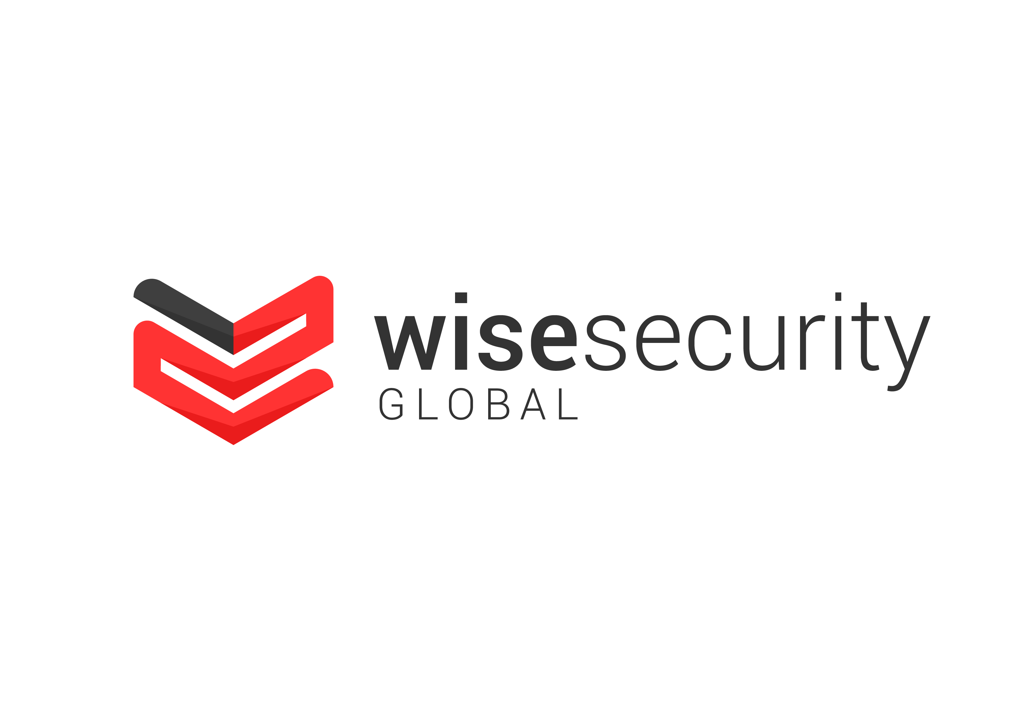 Logotype of WISE SECURITY GLOBAL