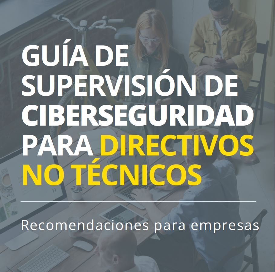 Guía de supervisión de ciberseguridad para directivos no técnicos