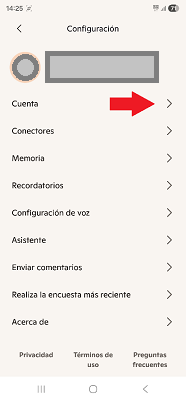 Menú de configuración Copilot