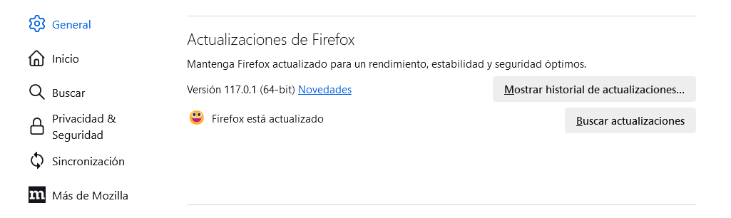 Se muestra en el apartado Actualizaciones de Firefox la opción de 'Buscar actualizaciones' y muestra la versión del navegador actual