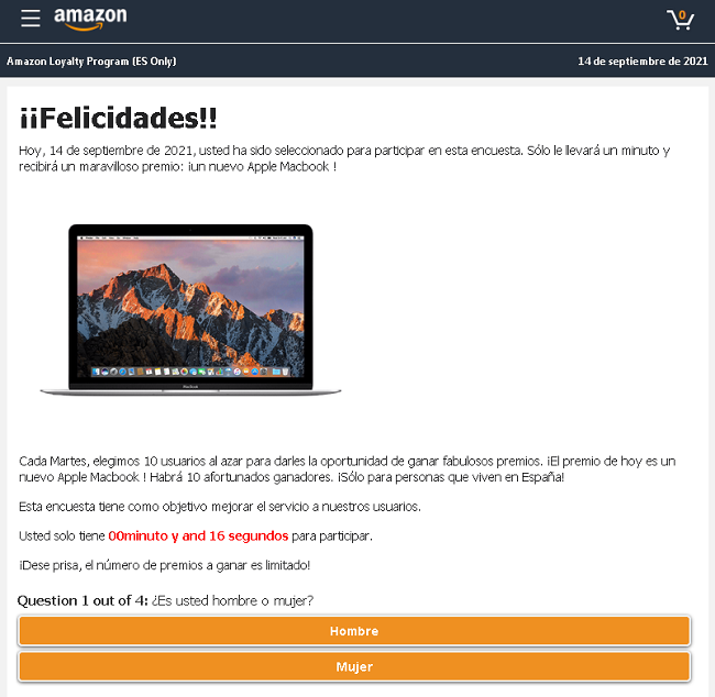 Página fraude Amazon
