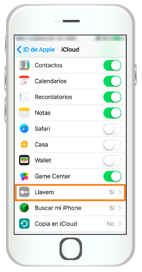 Imagen de móvil donde sale la opción llavero de iCloud