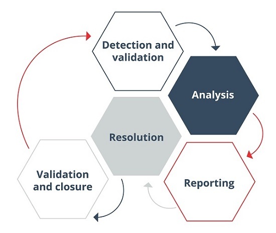 Vulnerabilities life cycle