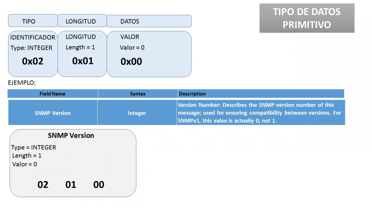 Estructura de la codificación de un dato primitivo