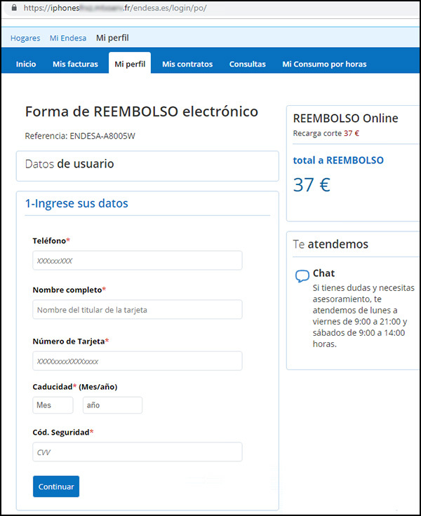 Endesa introducir datos