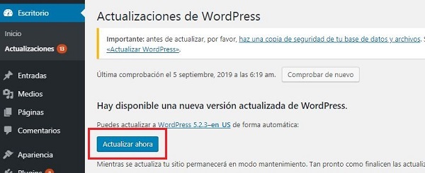 Imagen que muestra las actualizaciones disponibles, tanto del CMS como de plugins o temas. Se muestra el botón Actualizar ahora, en referencia a WordPress
