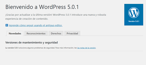 Imagen que muestra que el WordPress se ha actualizado correctamente