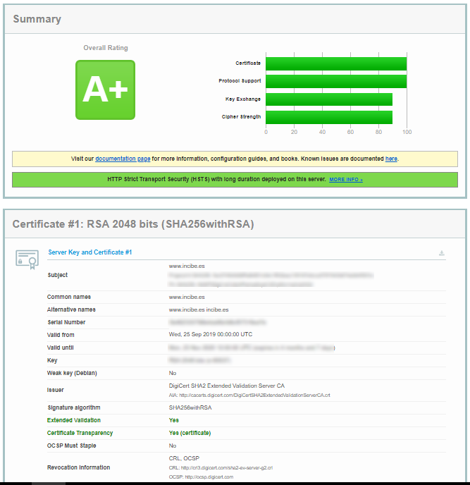 Ejemplo de informe parcial de SSLLabs