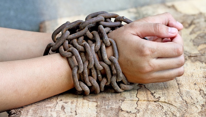 Una copia de seguridad puede ser la diferencia entre perder o salvar tu negocio Una copia de seguridad puede ser la diferencia entre perder o salvar tu negocio