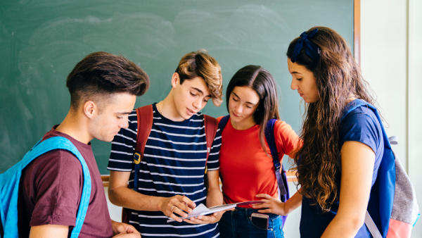 Plan de formación del profesorado