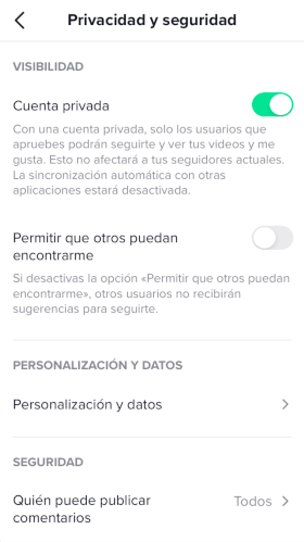 Imagen privacidad y seguridad Tiktok