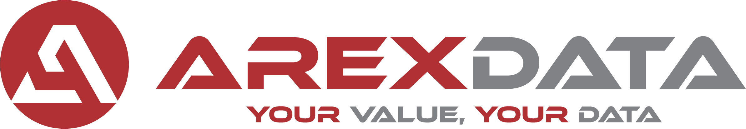 AREXDATA SPAIN S.L.