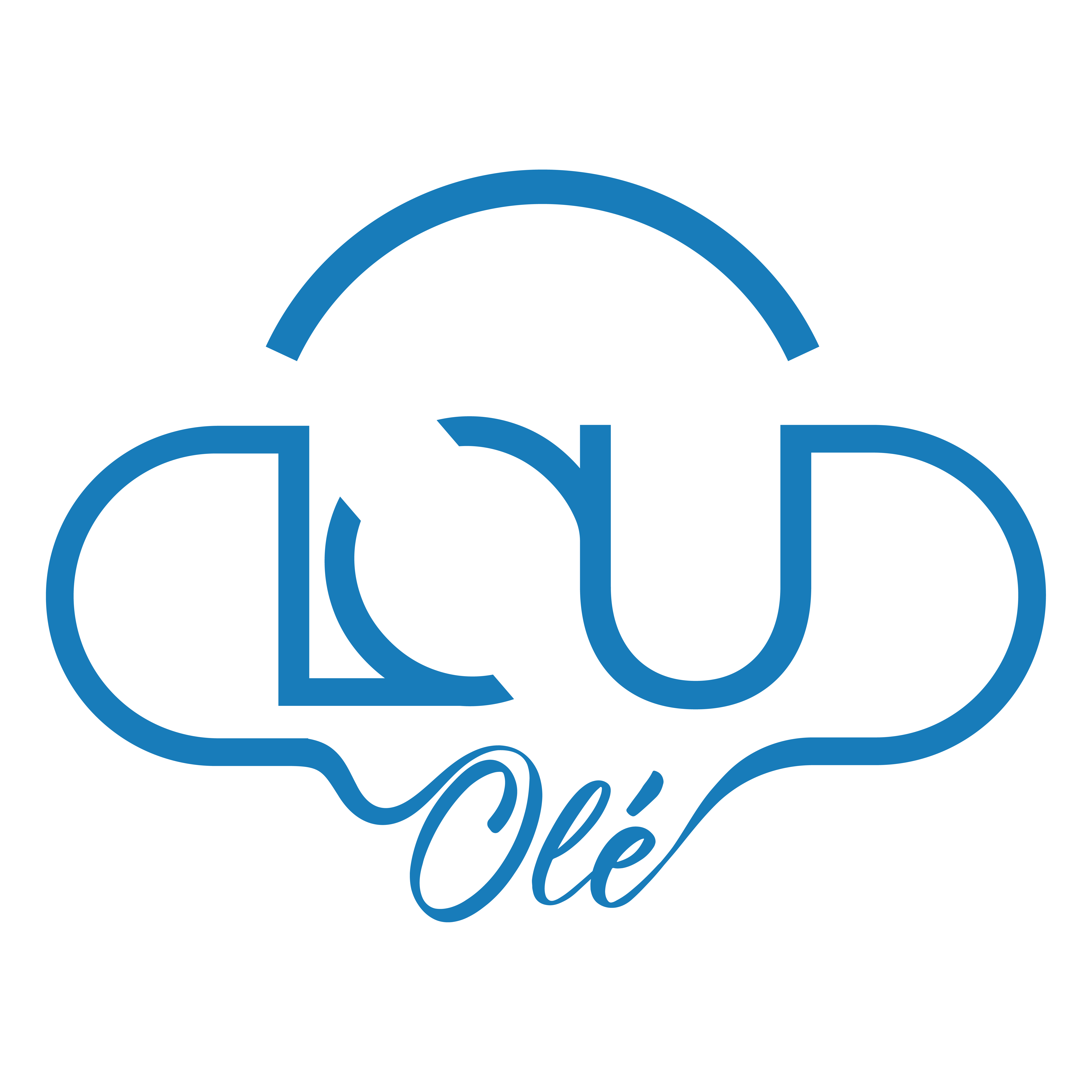 Cloud y Olé SL