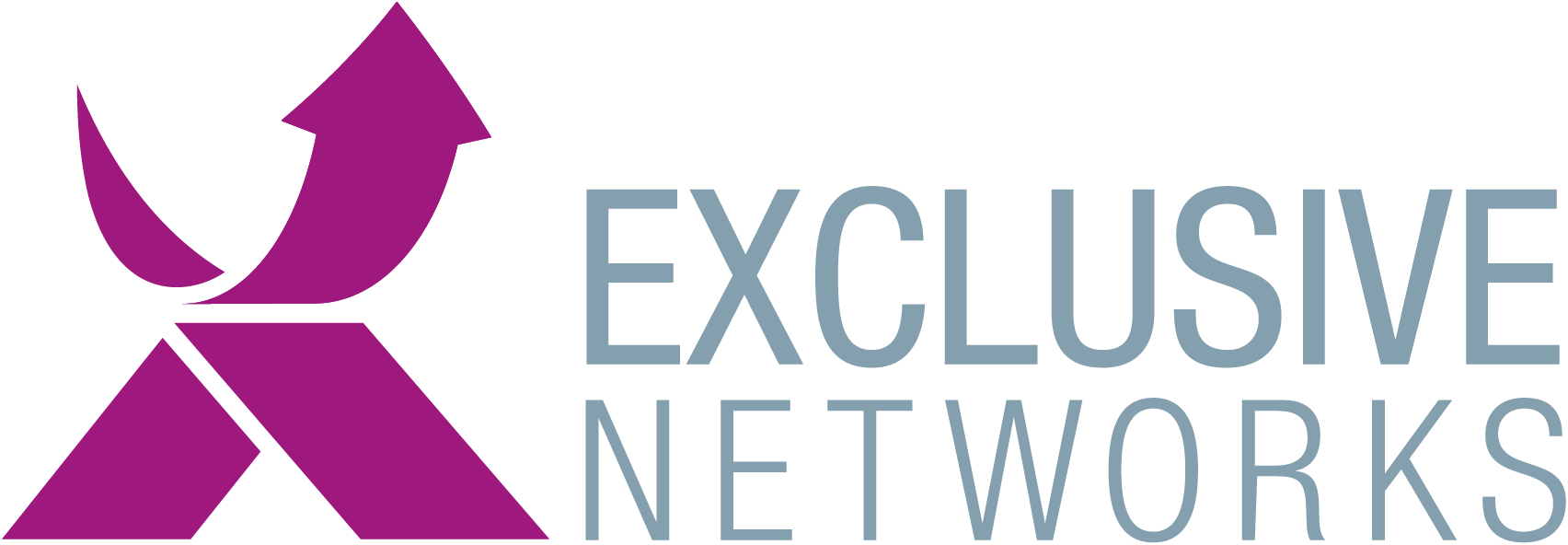 EXCLUSIVE NETWORKS SL