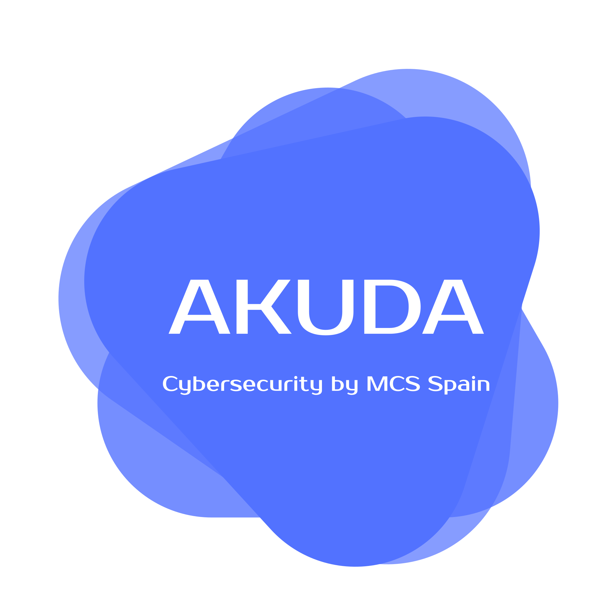 Management Consulting Services Spain S.L