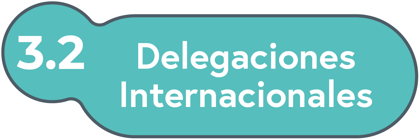 Delegaciones Internacionales
