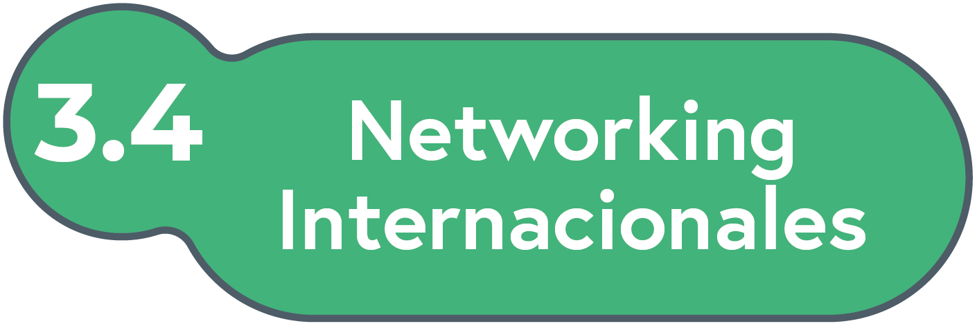 Networking Internacionales