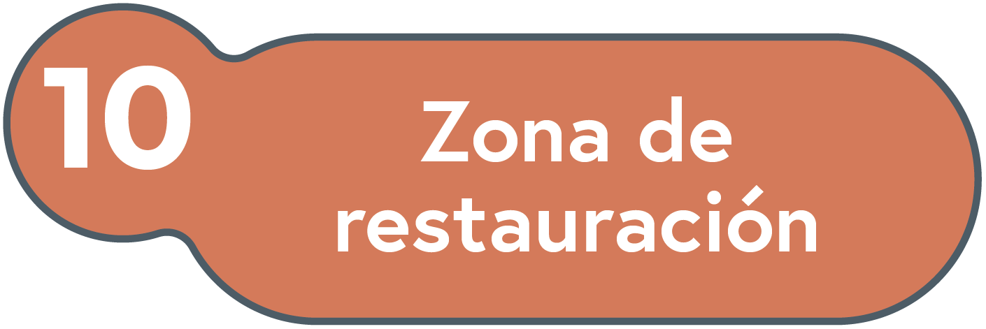 Restauración
