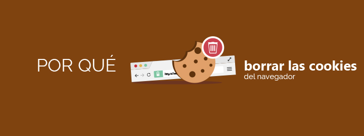 Enlace al artículo "Por qué borrar las cookies del navegador"