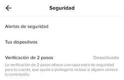 Imagen seguridad tiktok