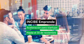 Refuerzo de capacidades en ciberseguridad para empresas tecnológicas extremeñas